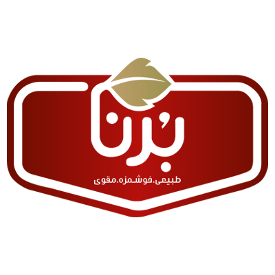 Amir Kabir Borna Company