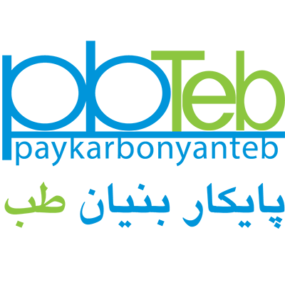 Paykar Bonyan Teb Company