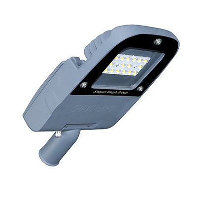 Ramin 1 LED Streetlight