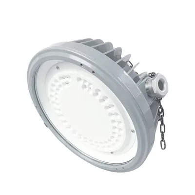 Explosion-proof industrial LED lamp code (1) BC9302P