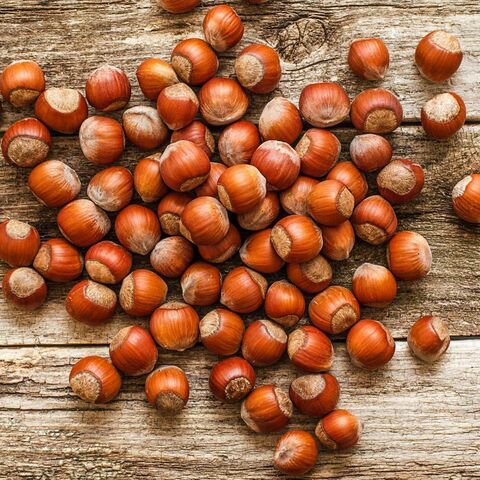 hazelnuts Kernel dried