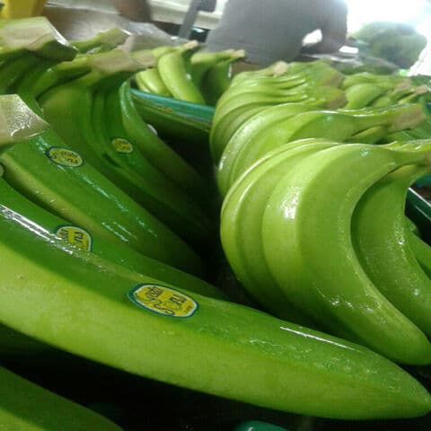 banana fresca