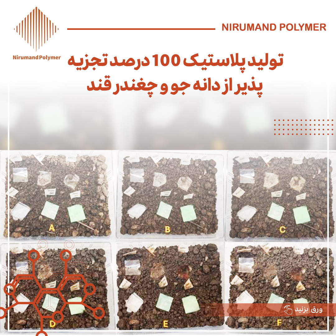 تولید پلاستیک ۱۰۰ درصد تجزیه پذیر از دانه جو و چغندر قند