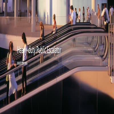 Escalator Moving Walks