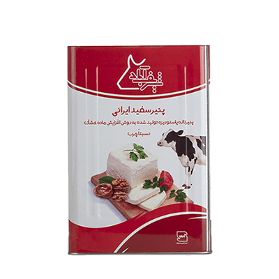 پنیرسفید نسبتا چرب ۱۶کیلوگرمی