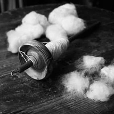 fibres de lin type