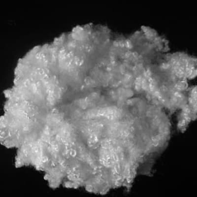 fibres halo