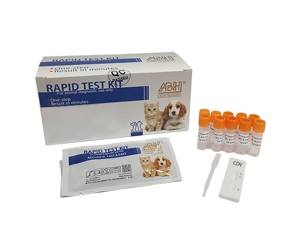 Schnelltestkit für Antigen (CDV)