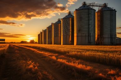 What is a silo and its types
