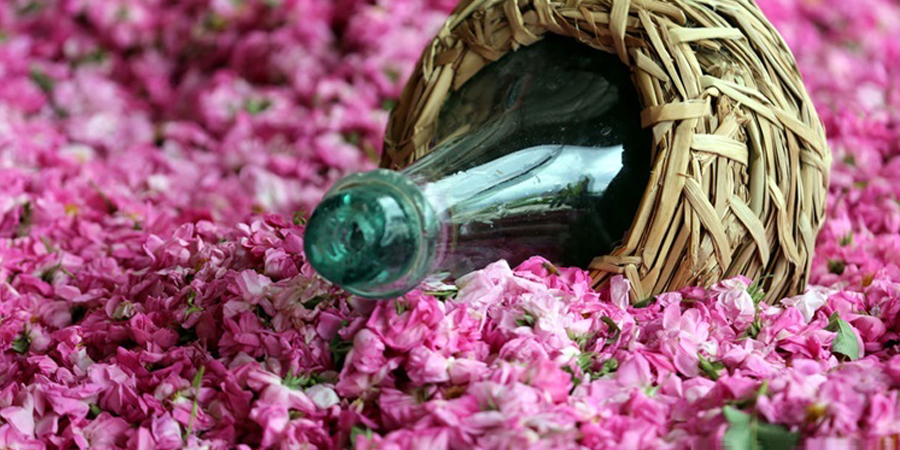About Rosewater