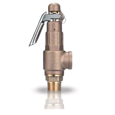L9-BP BRONZE THREADED LION OF SAFETY