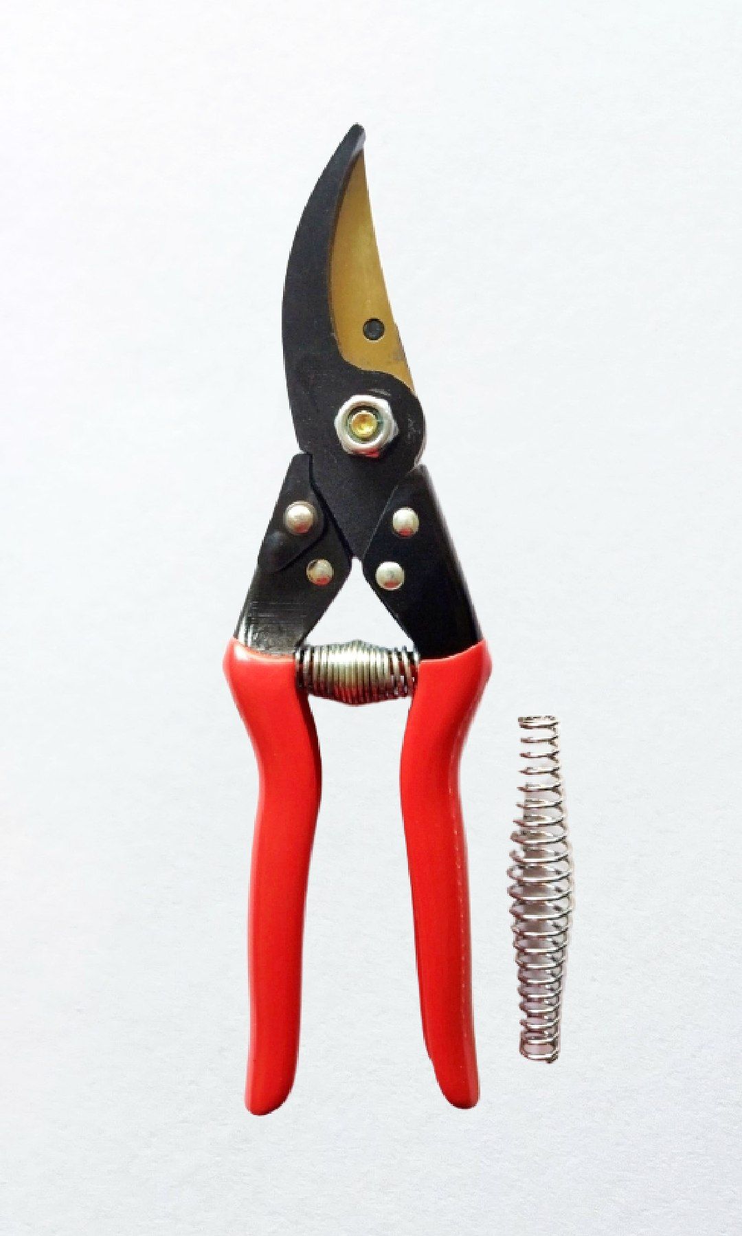 Farko V5 Gardening Scissors with Extra Spring