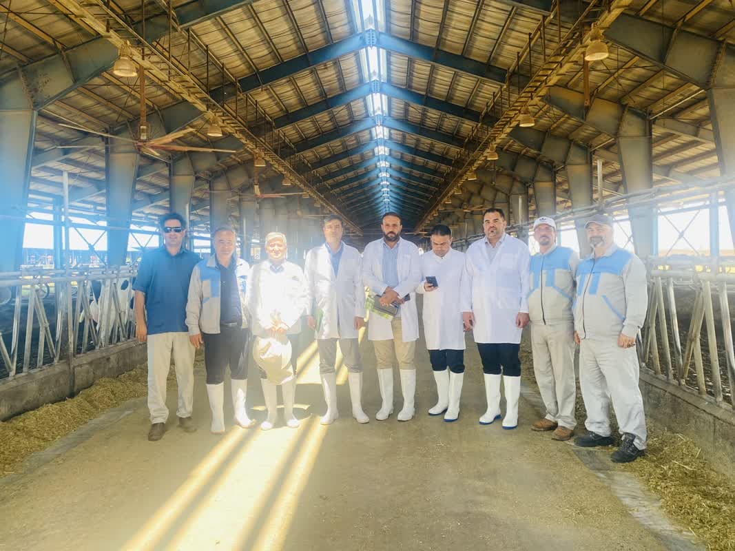 La delegación iraquí (Cooperación de Ganado Pesado de Irak) visitó la empresa de cultivo y agricultura Sharif Abad.
