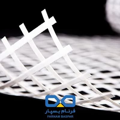 Geogrid
