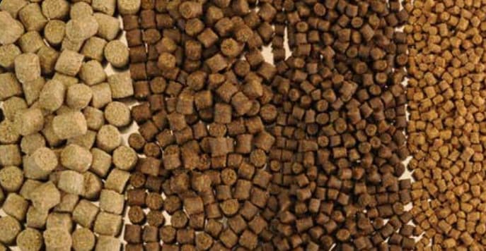 What is fish food made of?