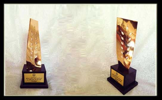 Selection of Simorgh Parvaran Parseh Company as a sample project