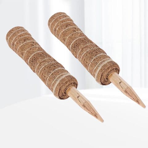 Kit de tuteur totem en mousse de coco pour plantes, plantes grimpantes et support pour plantes