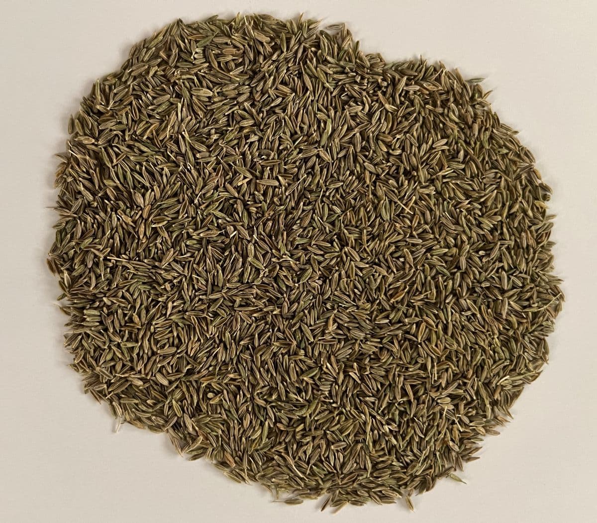 Iranian Cumin Seeds