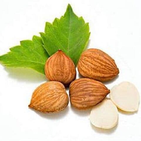 100% high quality blanched almonds - almond kernels - apricot kernels for sale