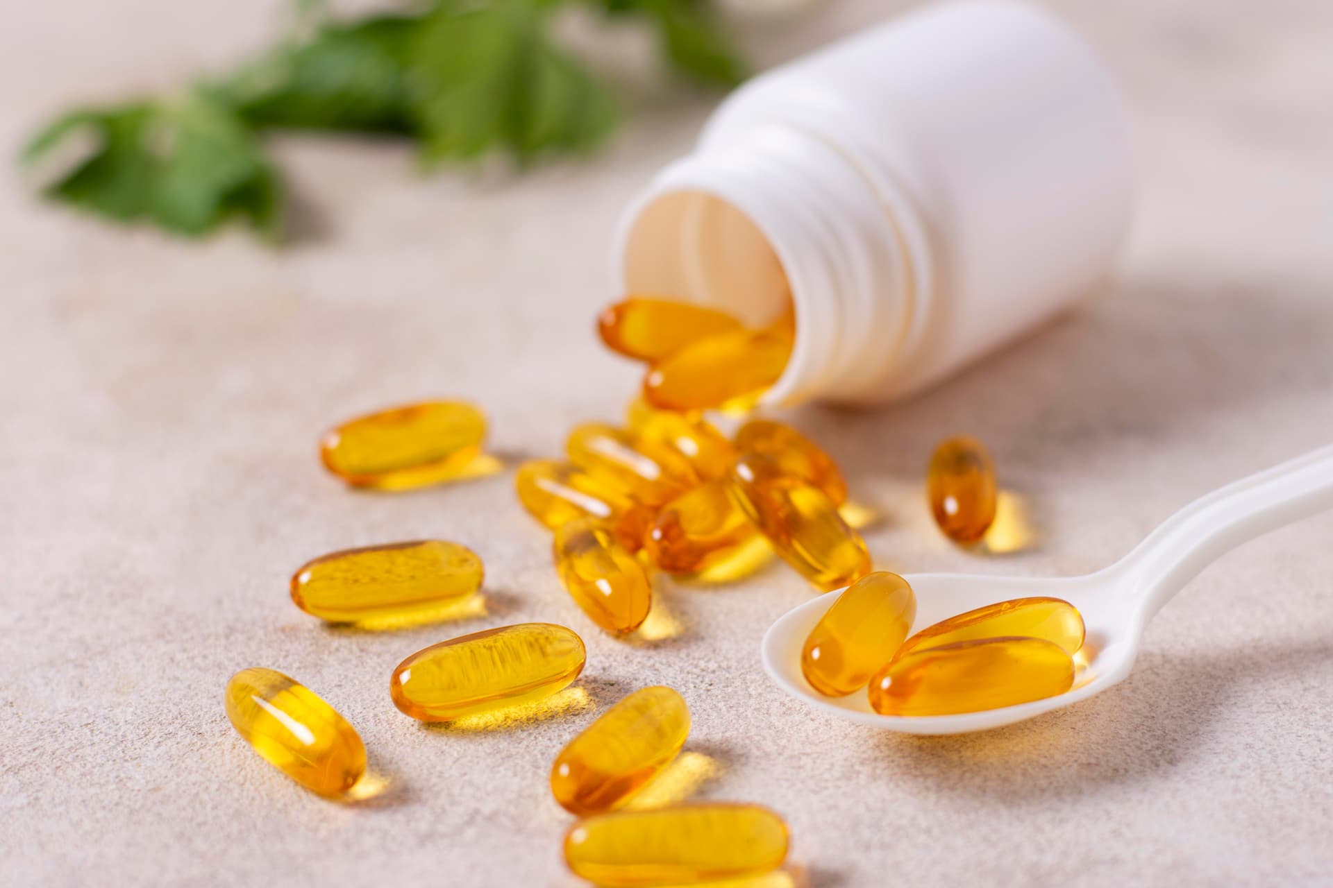 Rich source of vitamin D