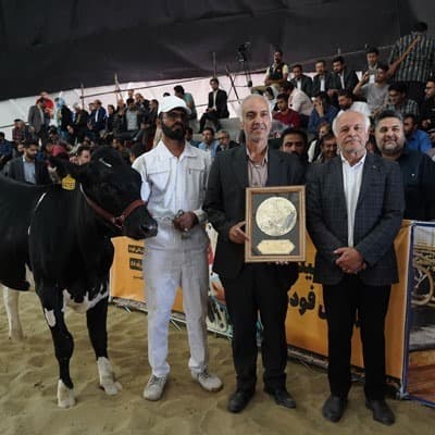 Erreichung des ersten Platzes der Razi Dairy and Livestock Industries Company beim nationalen Holstein-Festival / Erreic