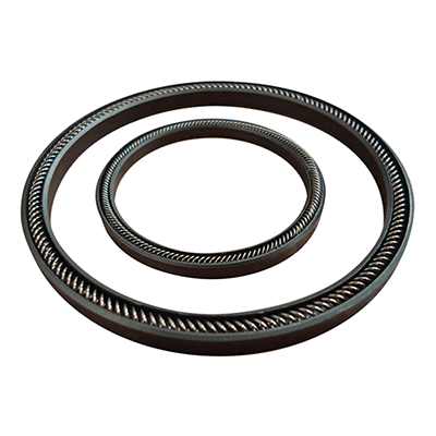 Dichtungsring
