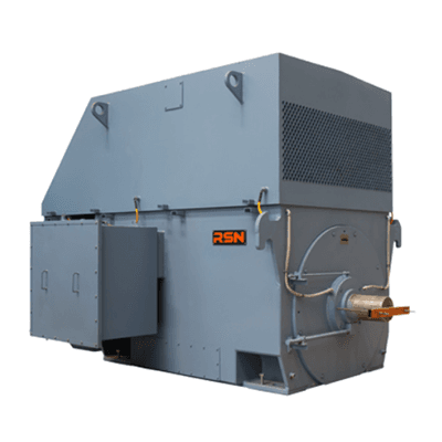 Medium and high voltage electric motor IC611