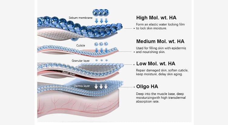 What is hyaluronic acid?