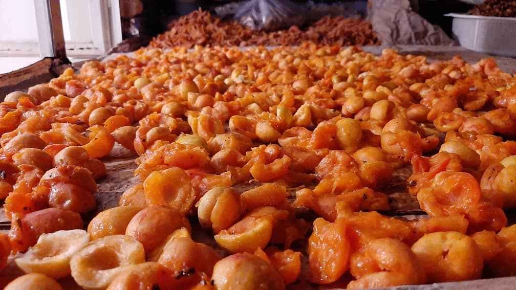 Vacío en la industria alimentaria