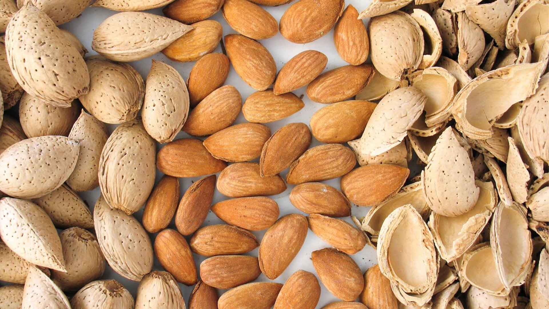 ¿Es mejor la almendra amarga o la almendra mamara?