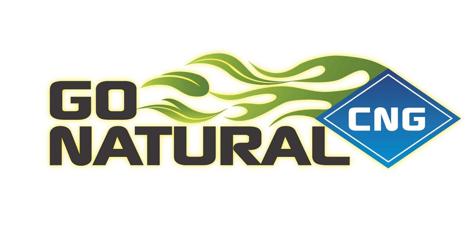 Clean fuel CNG