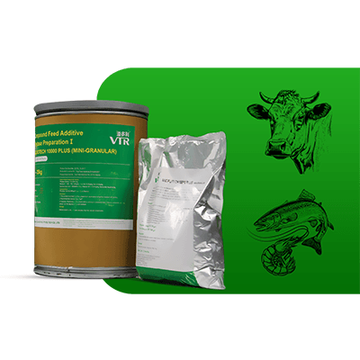 fitaza Mikrotik 10000