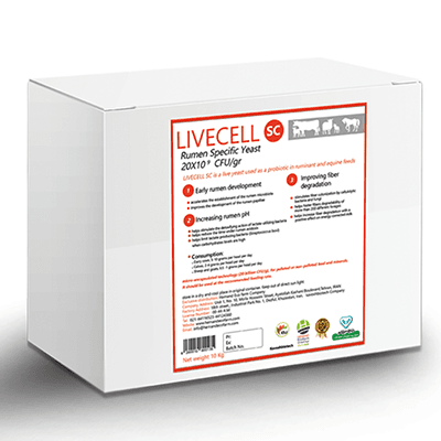 Lebende Hefe LiveCell SC 20