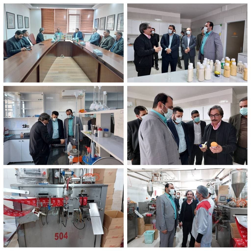 Visita del gobernador de Nazarabad a la unidad de producción Rahpooyan Shamim Iranians