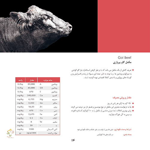 Rindermastfutter Gold Beef