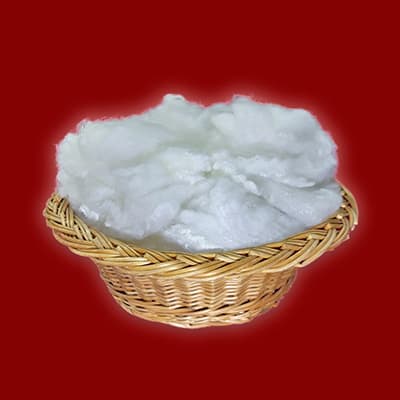 Stapelfasern Polyester