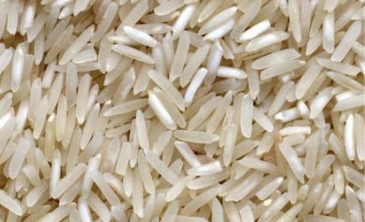 riz