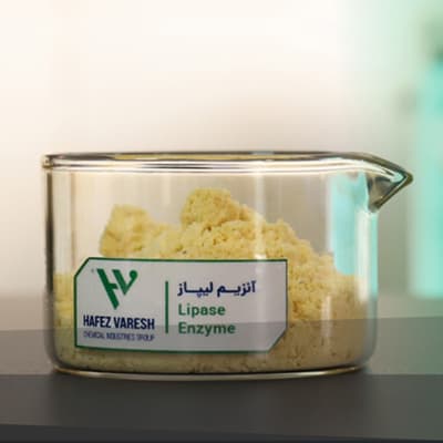 enzima lipasa