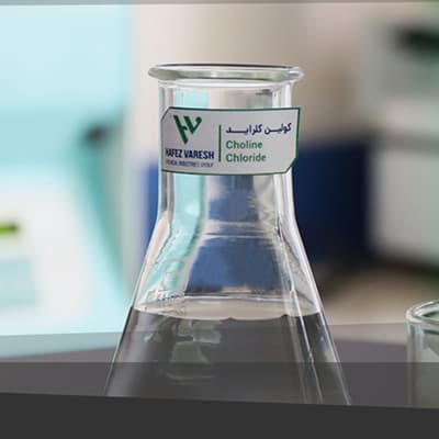Colina cloruro (Choline Chloride)