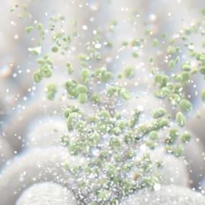 enzima desengrasante