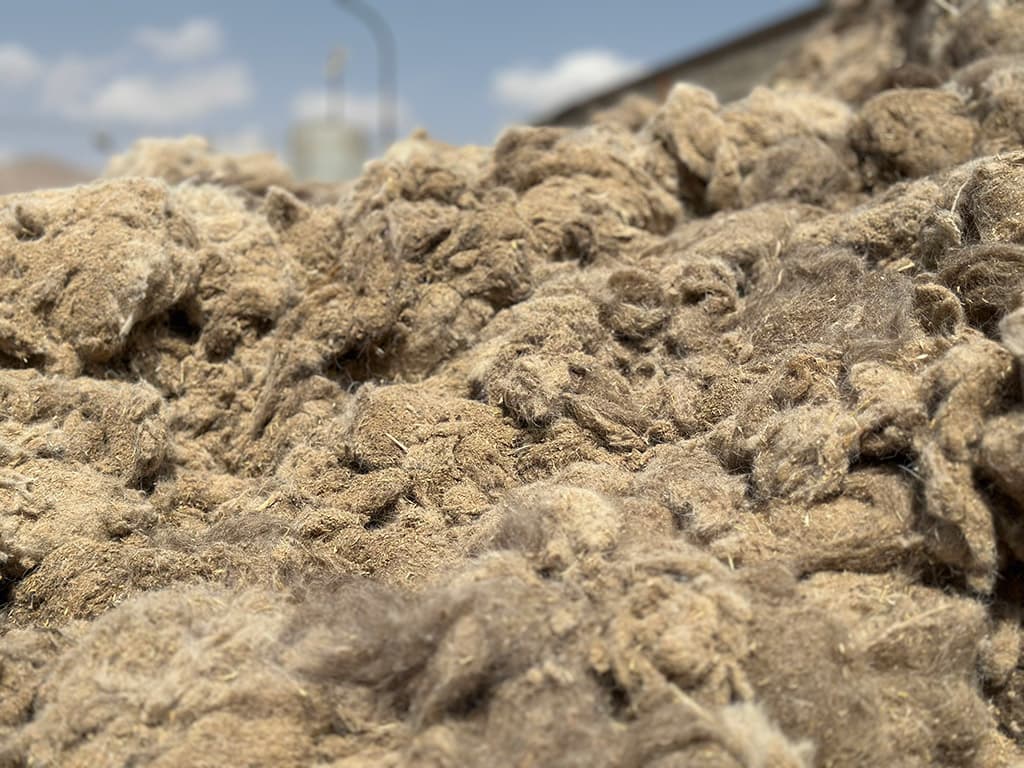 wool soil