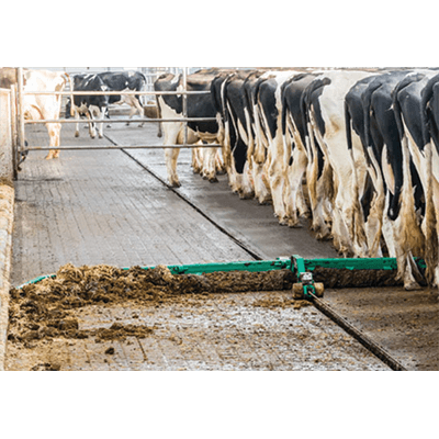 Makubent Bett für Tiere