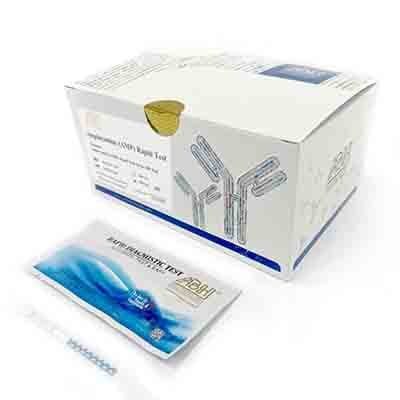 Kit de détection rapide d'amphétamine (AMP)