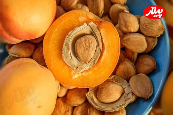 Kayısı çekirdeğinin faydaları