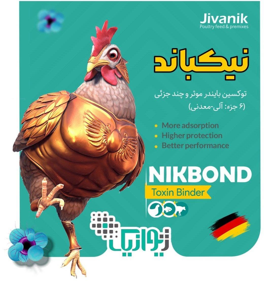 Toksin bağlayıcı etkili ve çok bileşenli şirket Jiwanik