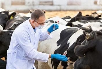 Cinq points clés importants sur la nutrition des minéraux