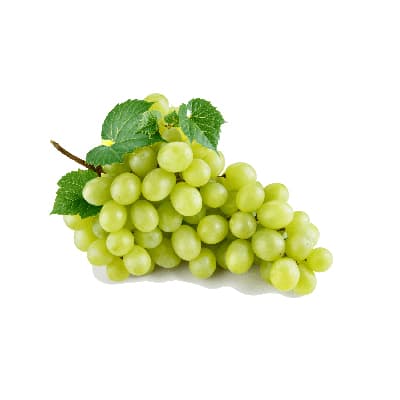Concentrated white grape juice