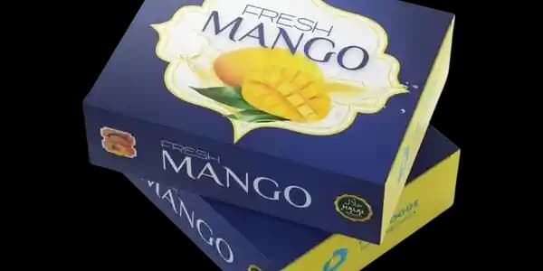 mango Sindhri