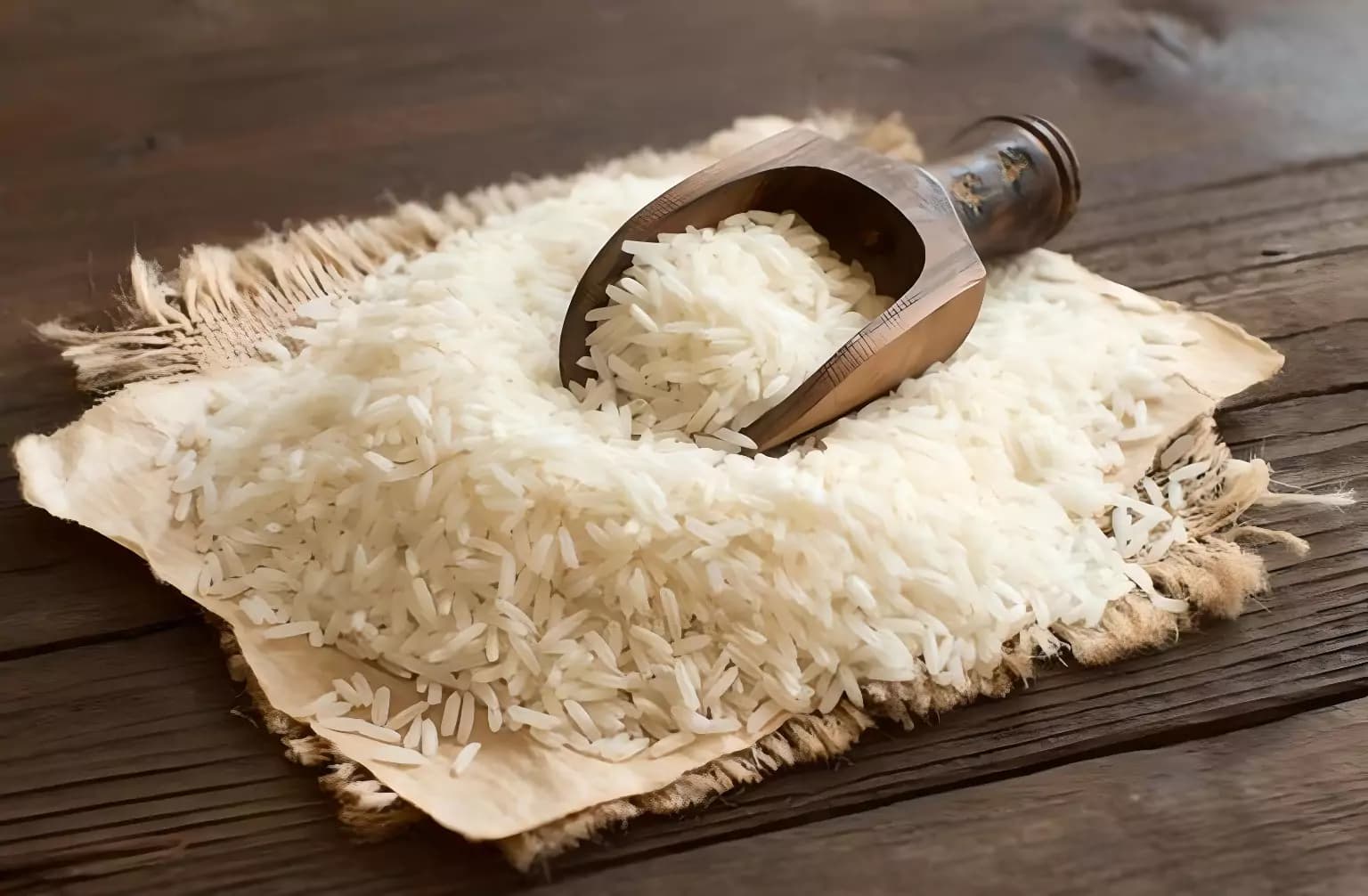 Exporter of Basmati rice Abre Kasteh