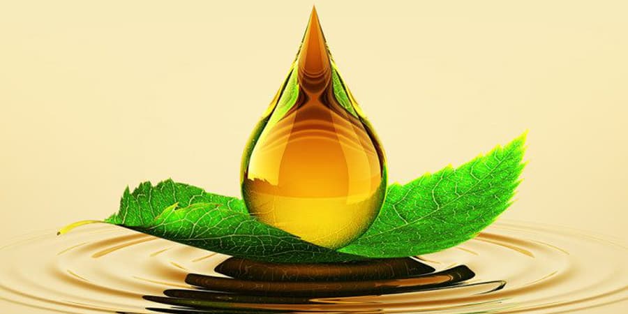 Grasas biodegradables, una alternativa ecológica